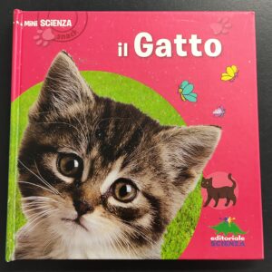 Il gatto