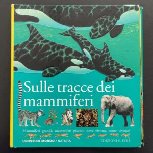 Sulle tracce dei mammiferi