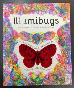 Illumibugs