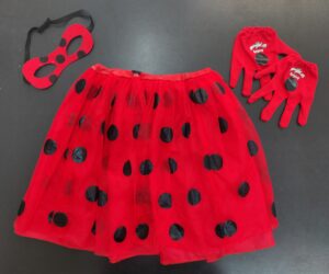 Accessori Lady Bug 9-12 anni